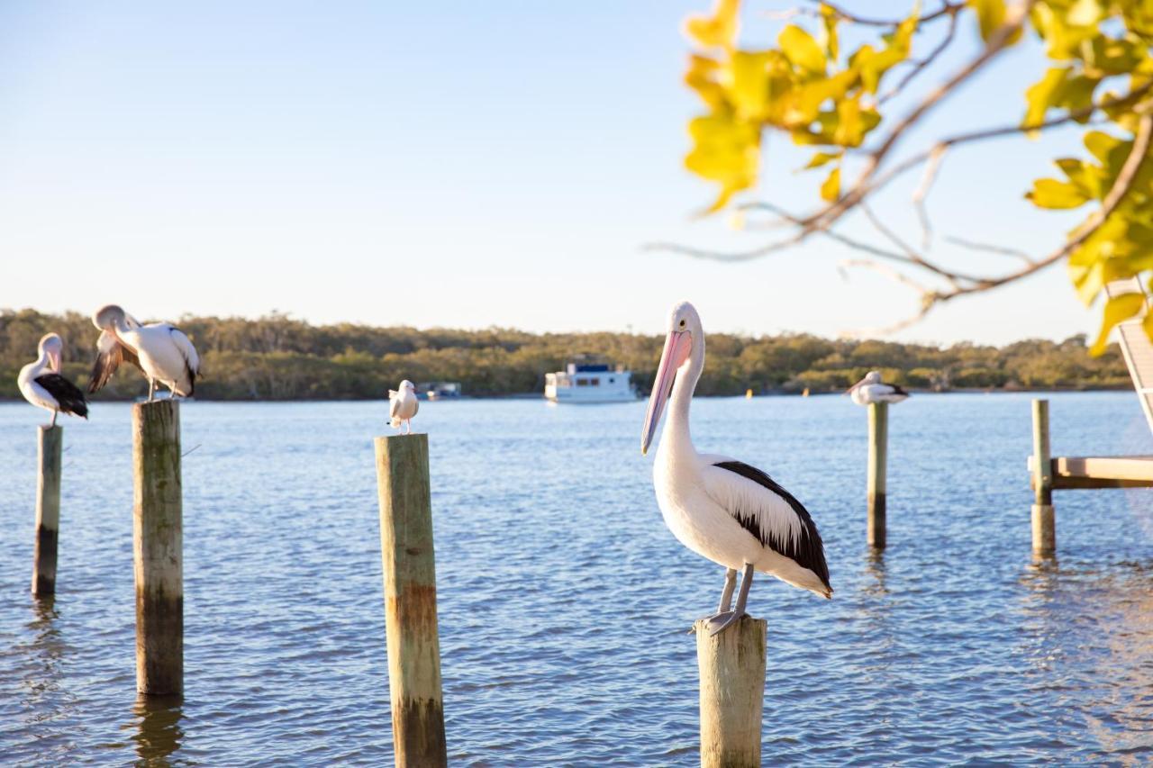 The Islander Noosa Resort Noosaville Buitenkant foto